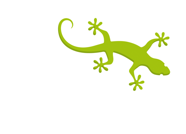 E-liza